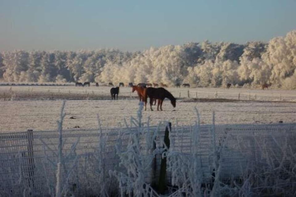 View from Holiday Home [winter]