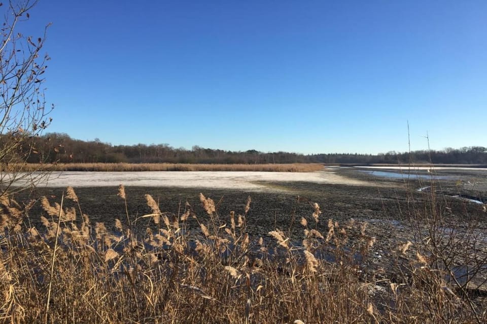 Region [summer] (>5 km)