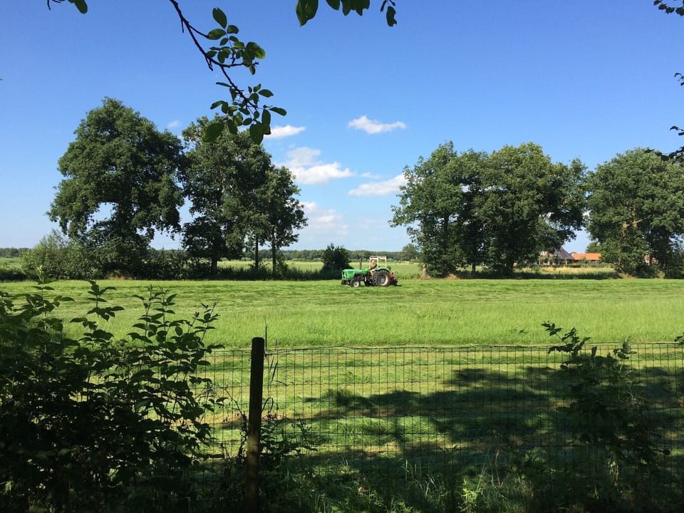 View from Holiday Home [summer]