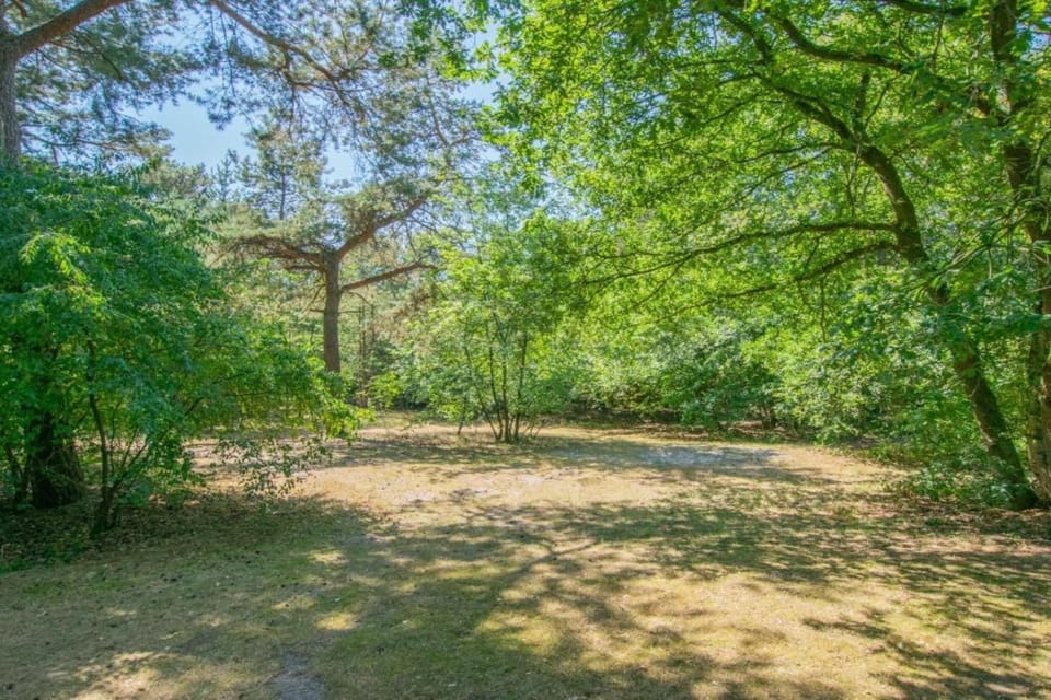 Region [summer] (>5 km)