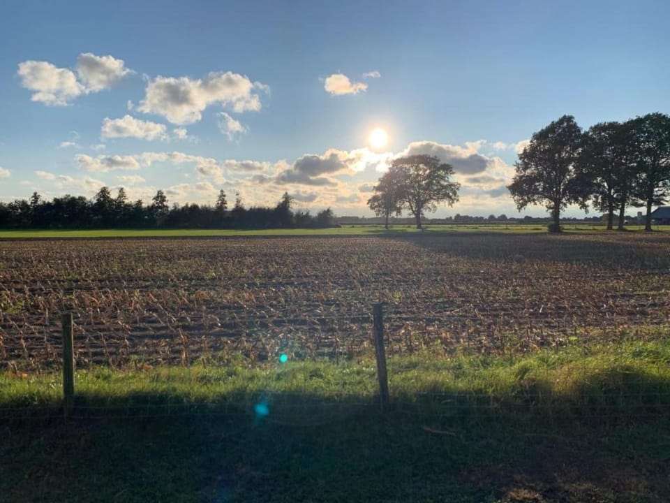 Region [summer] (>5 km)