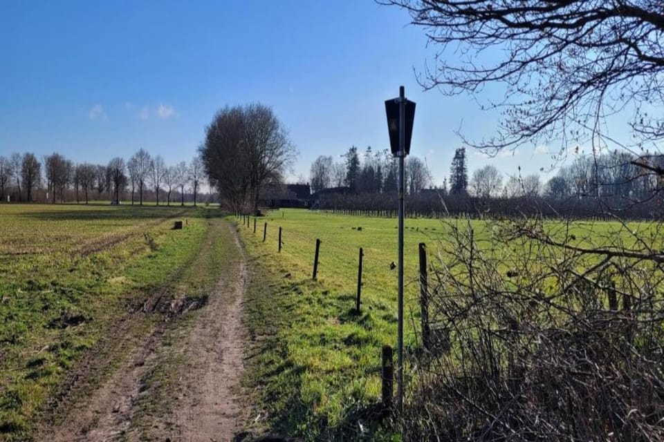 Region [summer] (>5 km)