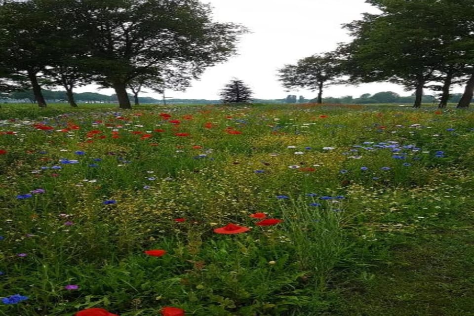 Region [summer] (>5 km)