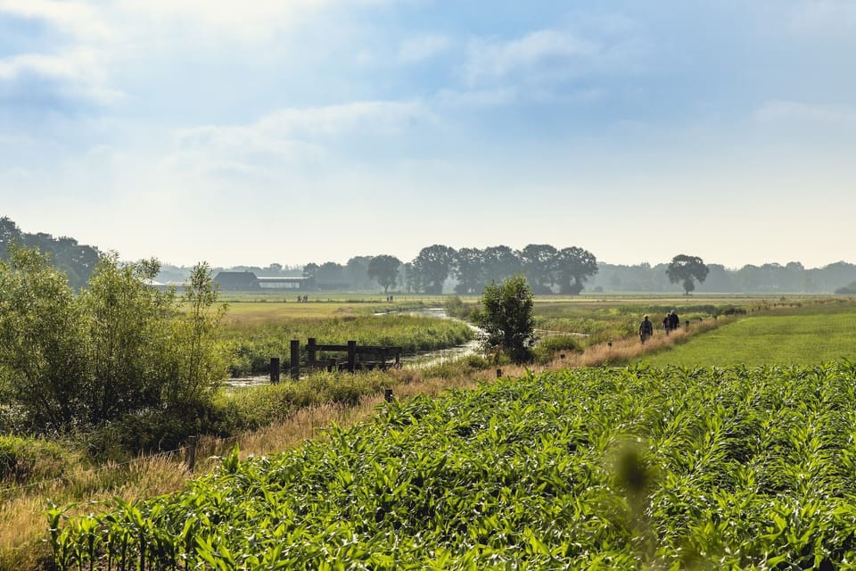 Immediate Surroundings [summer] (<1 km)