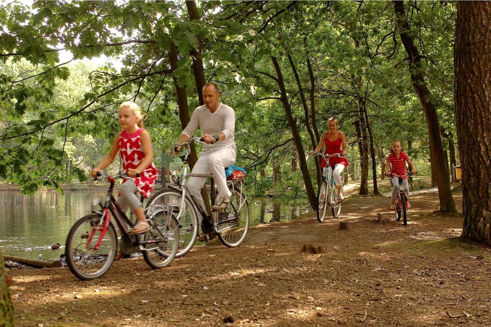 Holiday Park Facilities and Services 