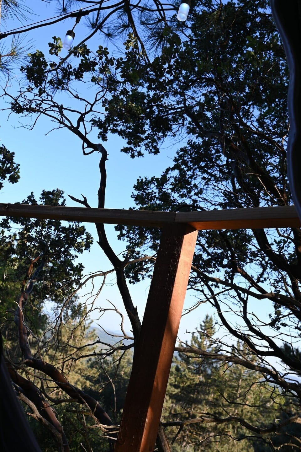 View from property