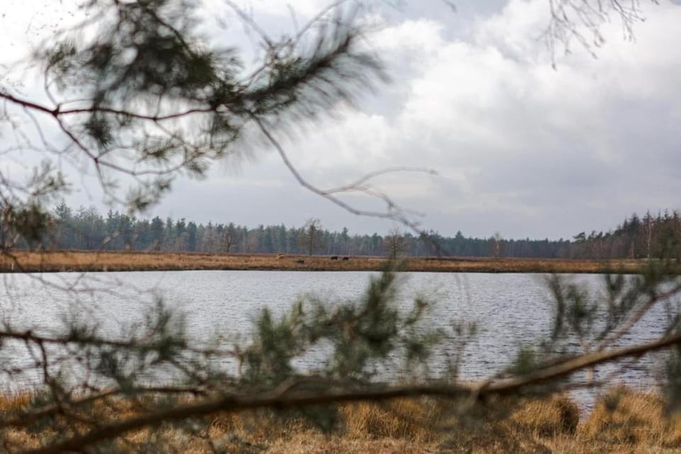 Surroundings [summer] (1-5 km)
