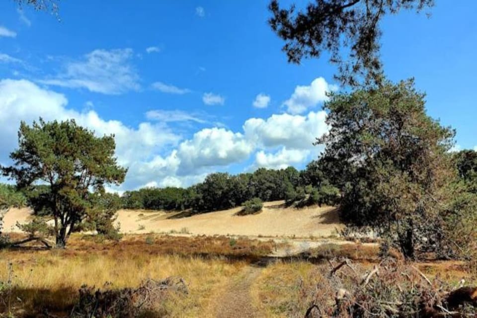 Region [summer] (>5 km)