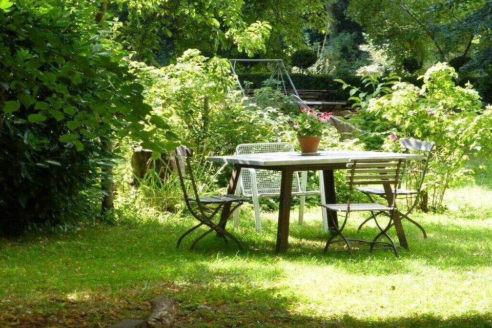 Garden [summer]