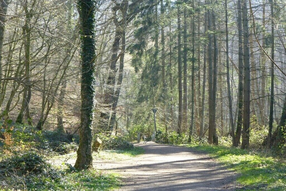 Surroundings [summer] (1-5 km)