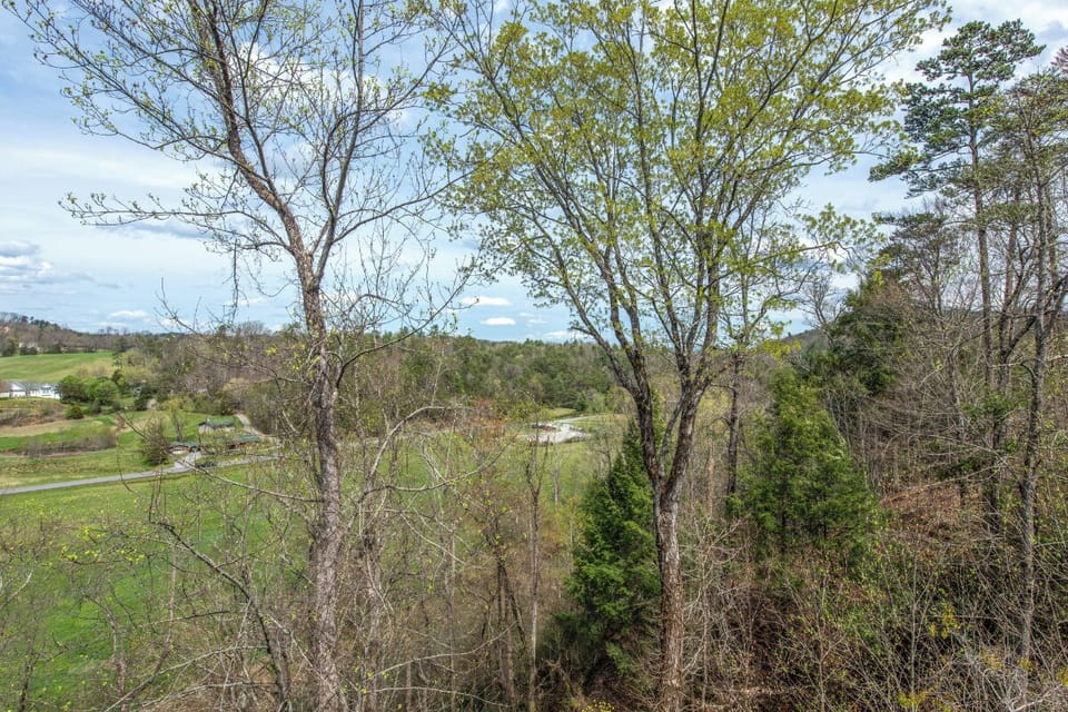 Views from Blackberry Lodge's relaxing decks