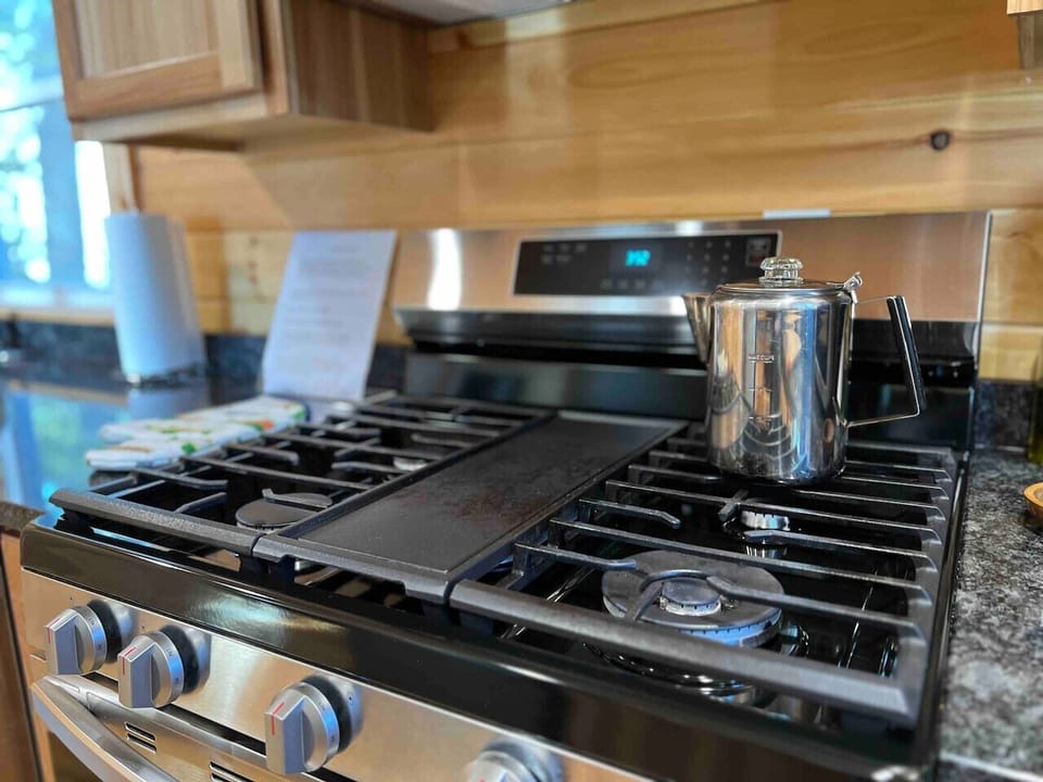 Gas stove