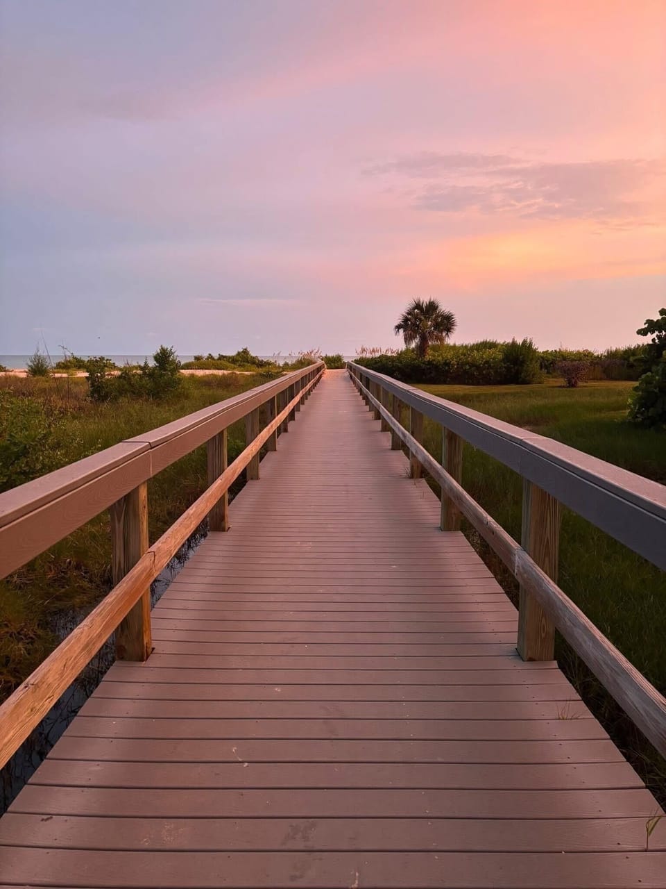 Path to beach 