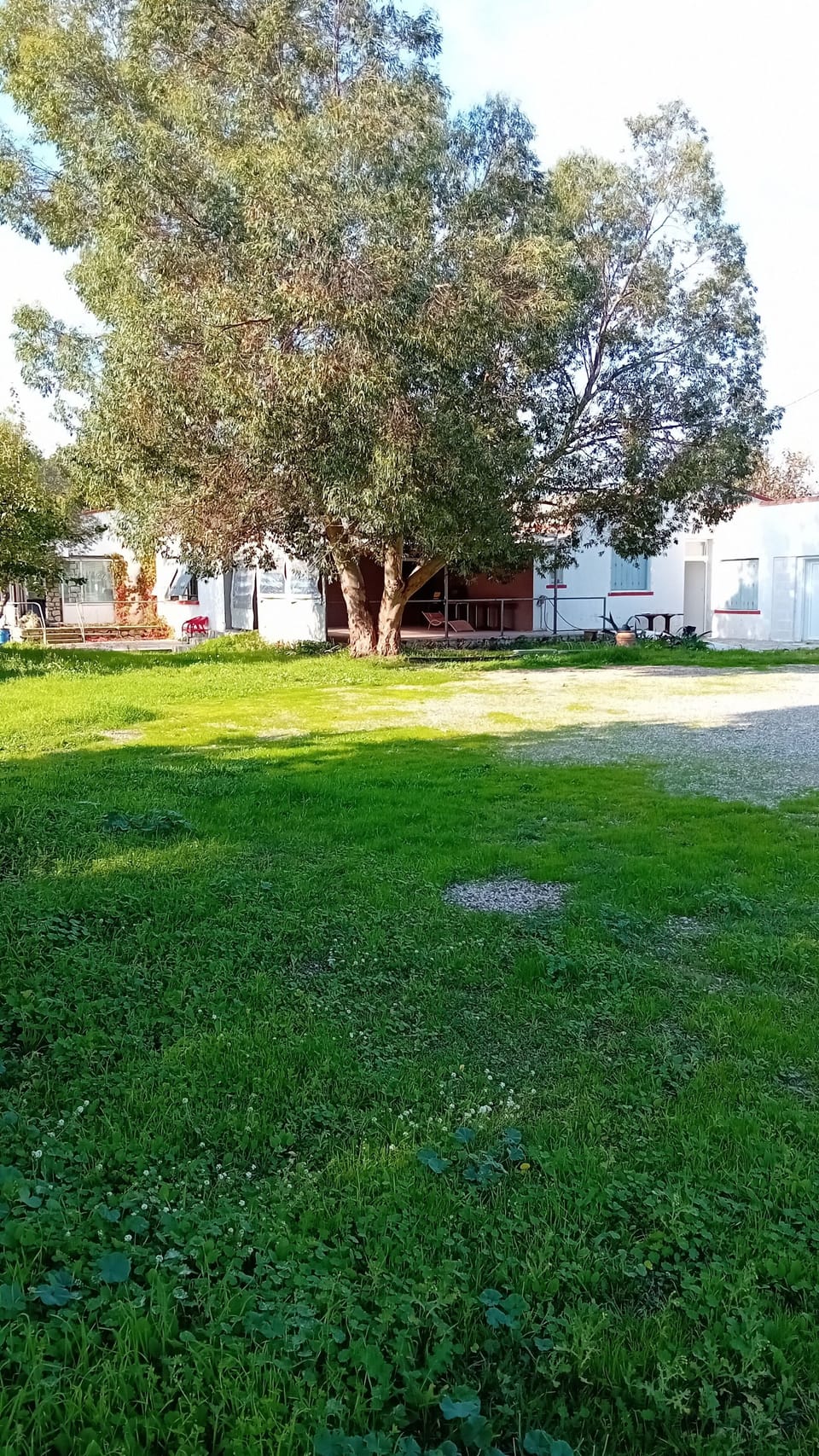 Property grounds