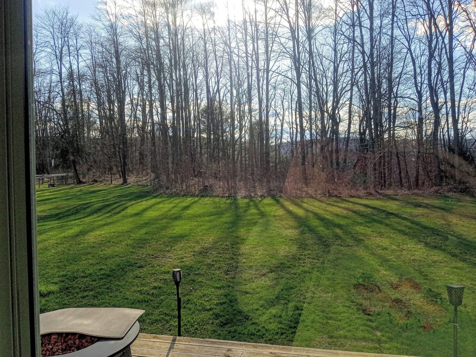 Backyard view from Kitchen