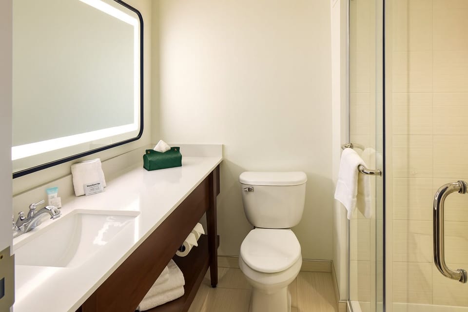 Bathroom. Interior and views may vary based on location and availability.