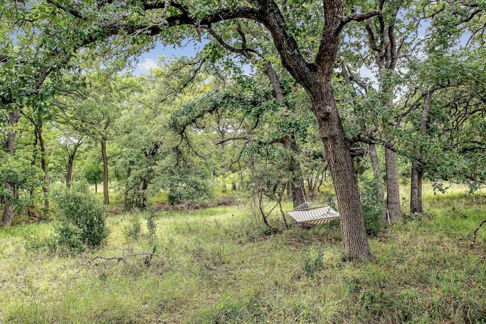 Hammock located in front of the property for a relaxing afternoon outside.