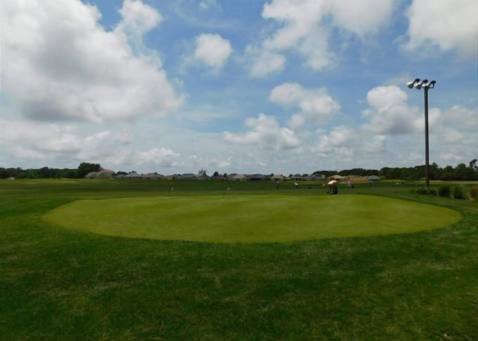 4 Courses On Site