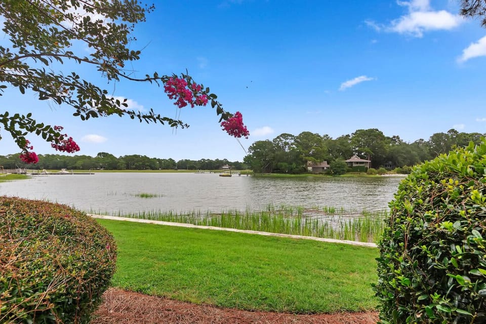 Backyard View of Braddock Cove
