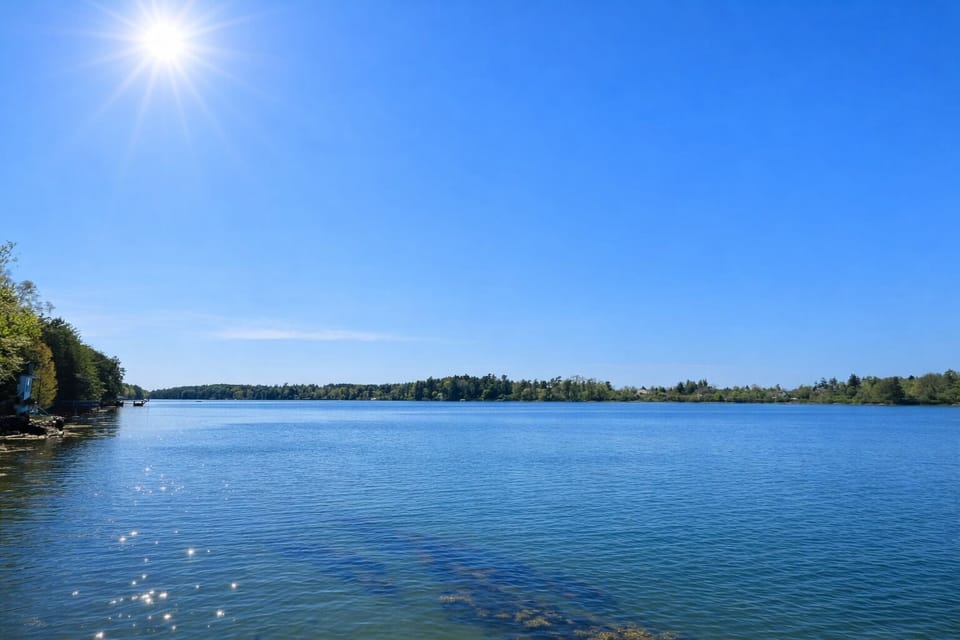 Basin Cove.