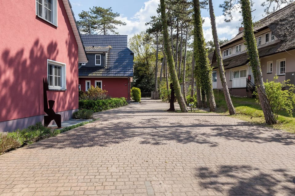 Exterior View of a Residential Area with Paved Path