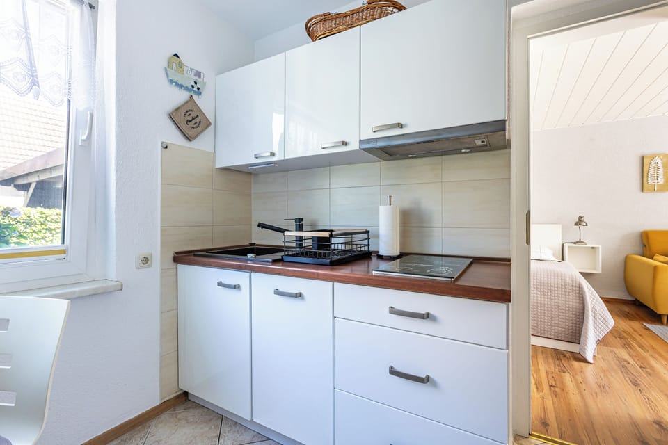Modern Kitchen with Bright Cabinets