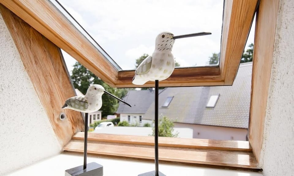 Decorative Birds by the Window
