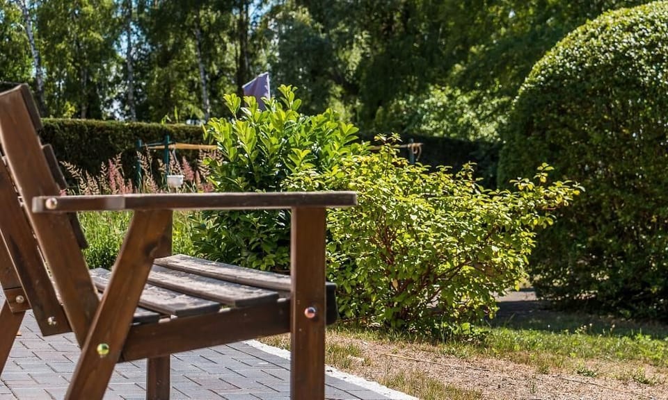 Terrace with Wooden Chair and Plants