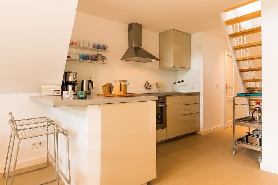 Modern Kitchen with Stovetop and Extractor Hood