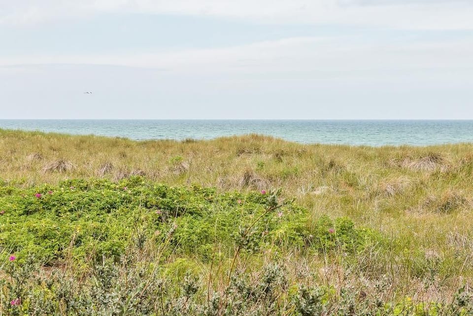 View of the Beach with Grass and Sea