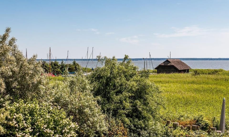 Beach view with water and green shore