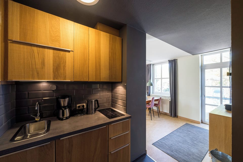 Modern Kitchen with Wooden Cabinets
