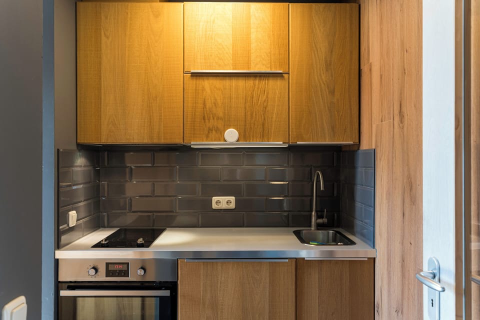 Modern Kitchen with Wooden Cabinets