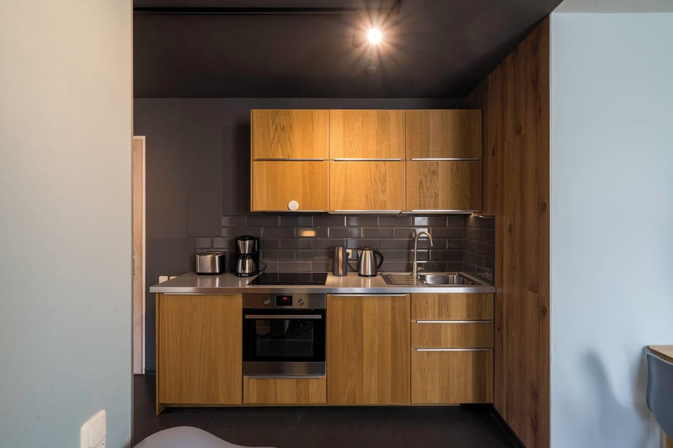 Modern Kitchen with Wooden Cabinets and Appliances