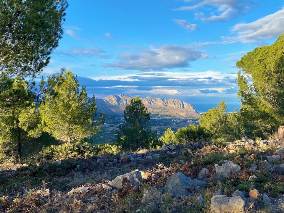 panoramic view from a hike nearby