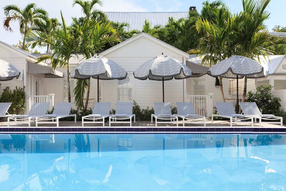 Dive into sunlit serenity with loungers and swaying palms.
