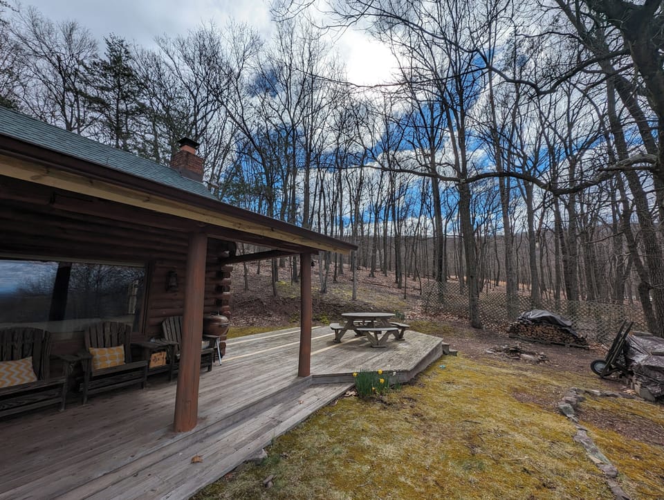 Outdoor picnic table and firepit
