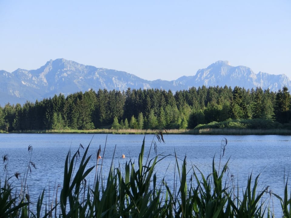 Region [summer] (>5 km)