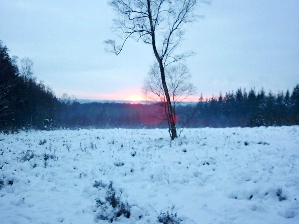 Immediate Surroundings [winter] (<1 km)