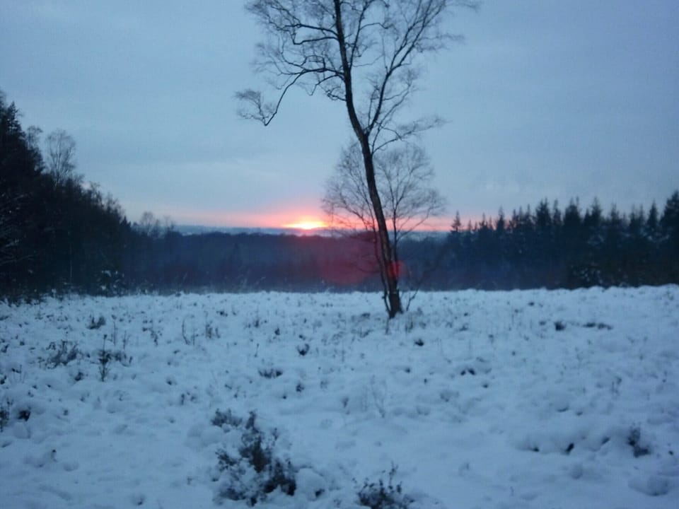 Immediate Surroundings [winter] (<1 km)