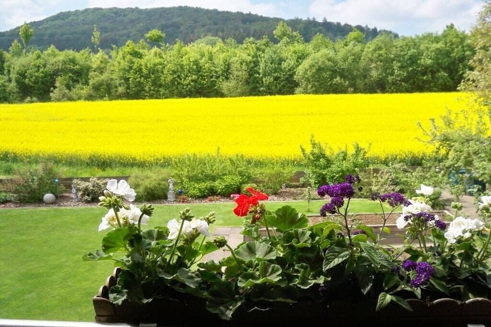 Surroundings [summer] (1-5 km)