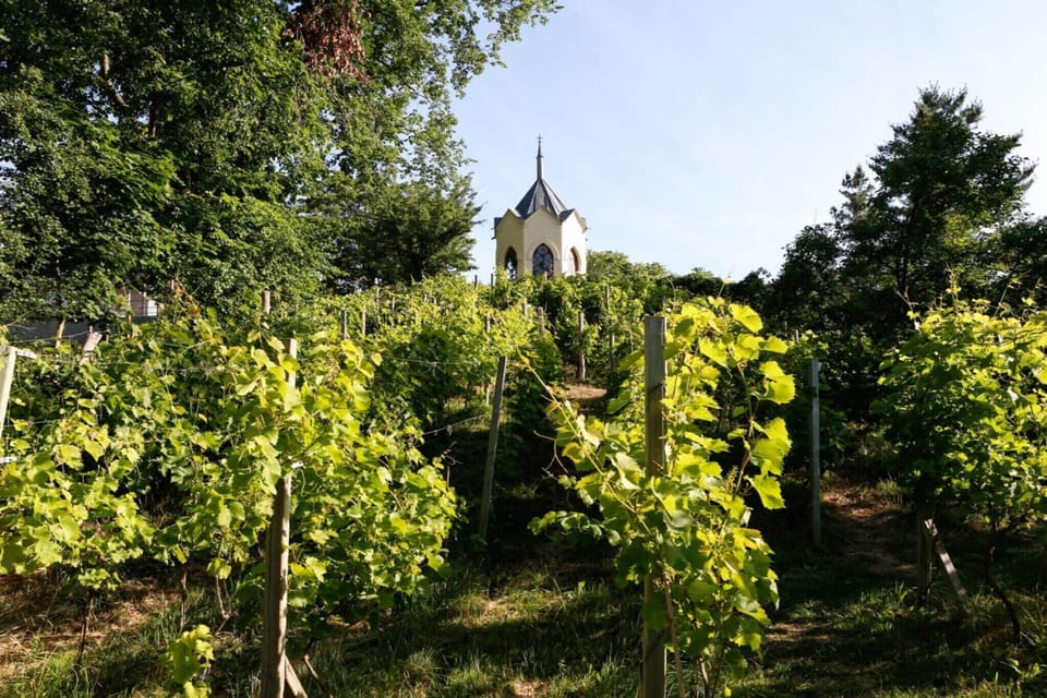 Garden [summer]