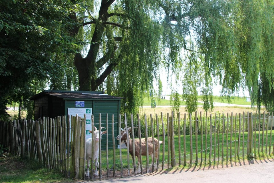 Immediate Surroundings [summer] (<1 km)