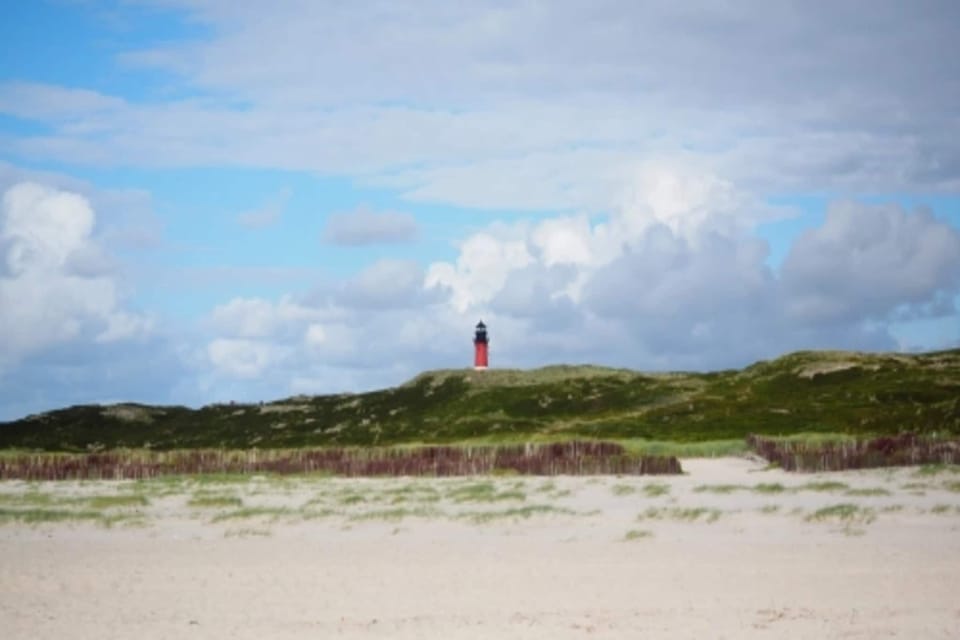Immediate Surroundings [summer] (<1 km)