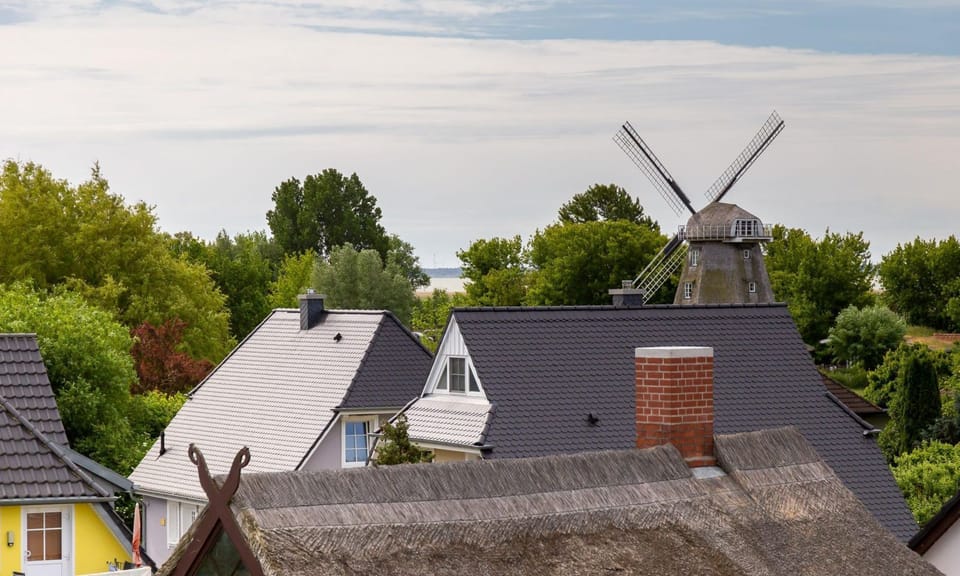 Roof View with Charming Houses and Windmill
