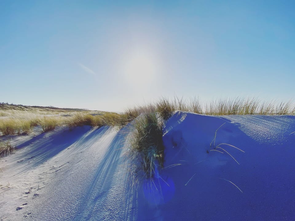Beach with Tall Dunes and Sunshine
