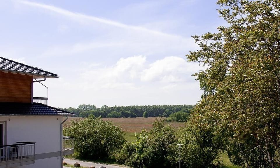 Balcony with Landscape View