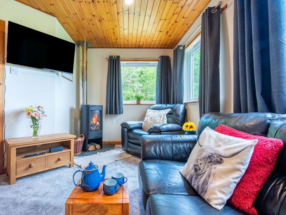 Furniture, Interior Design, Home, Ceiling, Wood Stain, Hardwood, Varnish, Living Room, Curtain, Log Cabin