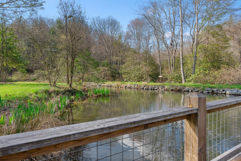 Dock over the rainbow trout pond, fishing allowed