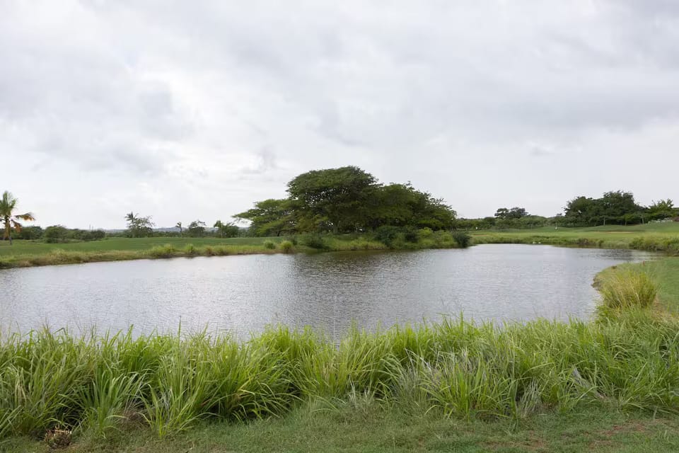 Nearby pond